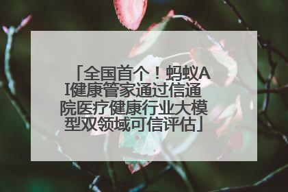 全国首个！蚂蚁AI健康管家通过信通院医疗健康行业大模型双领域可信评估