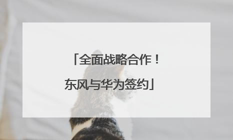 全面战略合作！东风与华为签约