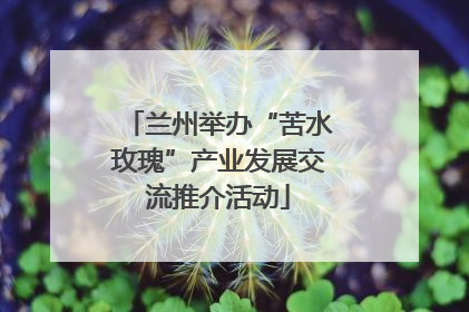 兰州举办“苦水玫瑰”产业发展交流推介活动