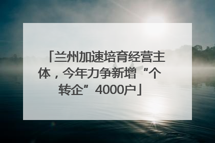 兰州加速培育经营主体，今年力争新增“个转企”4000户