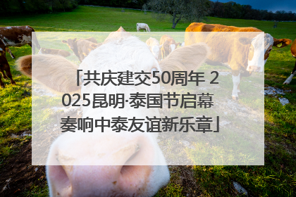 共庆建交50周年 2025昆明·泰国节启幕 奏响中泰友谊新乐章