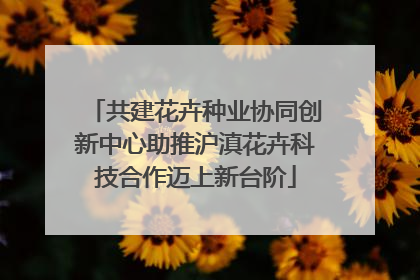 共建花卉种业协同创新中心助推沪滇花卉科技合作迈上新台阶