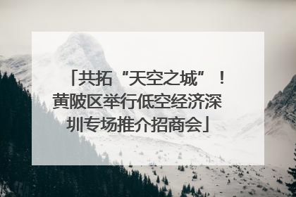 共拓“天空之城”！黄陂区举行低空经济深圳专场推介招商会