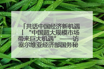 共话中国经济新机遇丨“中国超大规模市场带来巨大机遇”——访塞尔维亚经济部国务秘书尼科利奇