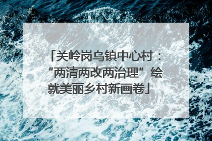 关岭岗乌镇中心村：“两清两改两治理”绘就美丽乡村新画卷