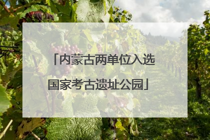 内蒙古两单位入选国家考古遗址公园