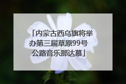内蒙古西乌旗将举办第三届草原99号公路音乐那达慕