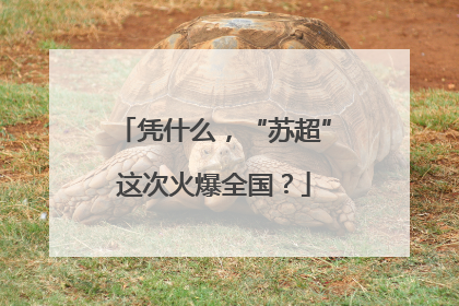 凭什么，“苏超”这次火爆全国？