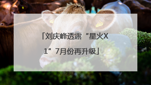 刘庆峰透露“星火X1”7月份再升级