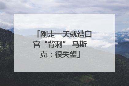 刚走一天就遭白宫“背刺” 马斯克：很失望