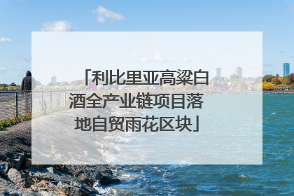 利比里亚高粱白酒全产业链项目落地自贸雨花区块