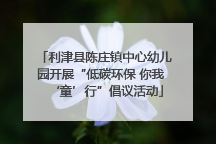 利津县陈庄镇中心幼儿园开展“低碳环保 你我‘童’行”倡议活动