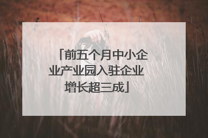 前五个月中小企业产业园入驻企业增长超三成