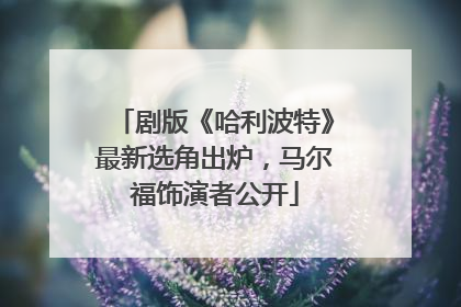 剧版《哈利波特》最新选角出炉，马尔福饰演者公开