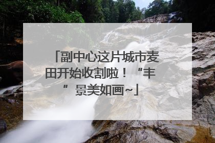 副中心这片城市麦田开始收割啦！“丰”景美如画~