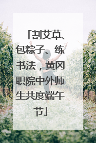 割艾草、包粽子、练书法，黄冈职院中外师生共度端午节