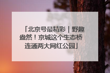 北京号最精彩｜野趣盎然！京城这个生态桥连通两大网红公园
