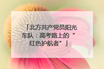 北方共产党员阳光车队：高考路上的“红色护航者”