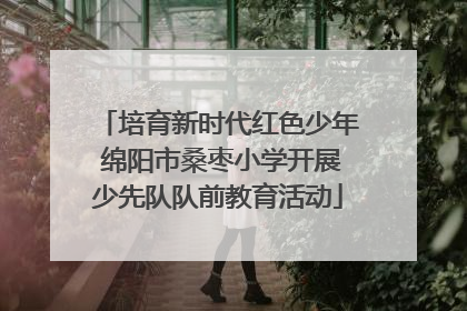 培育新时代红色少年 绵阳市桑枣小学开展少先队队前教育活动