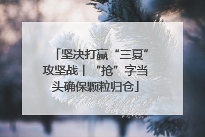 坚决打赢“三夏”攻坚战丨“抢”字当头确保颗粒归仓