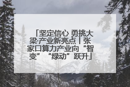 坚定信心 勇挑大梁·产业新亮点丨张家口算力产业向“智变”“绿动”跃升
