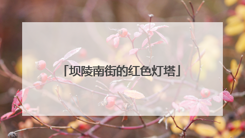坝陵南街的红色灯塔
