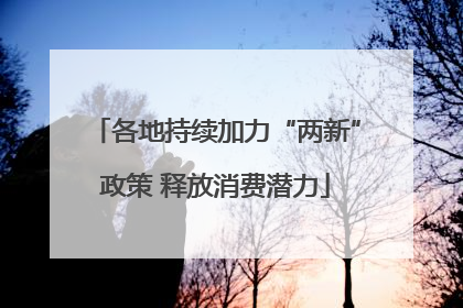 各地持续加力“两新”政策 释放消费潜力