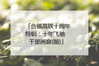 合福高铁十周年特辑：十年飞驰 千里画廊(图)