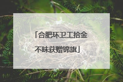 合肥环卫工拾金不昧获赠锦旗