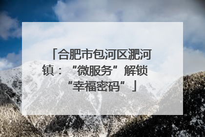 合肥市包河区淝河镇：“微服务”解锁“幸福密码”
