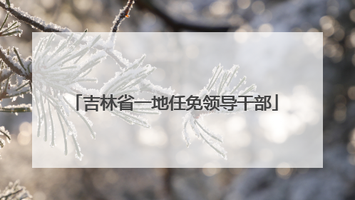 吉林省一地任免领导干部