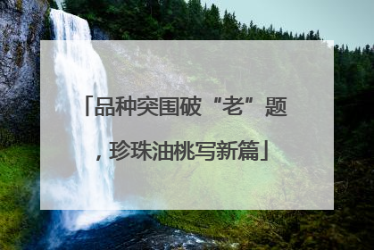 品种突围破“老”题，珍珠油桃写新篇