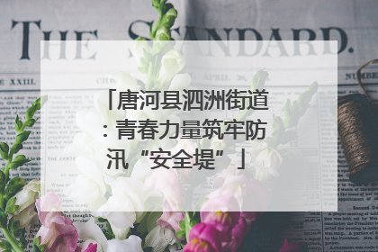 唐河县泗洲街道：青春力量筑牢防汛“安全堤”