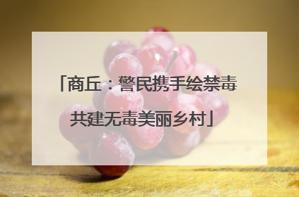 商丘：警民携手绘禁毒 共建无毒美丽乡村