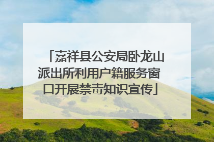 嘉祥县公安局卧龙山派出所利用户籍服务窗口开展禁毒知识宣传