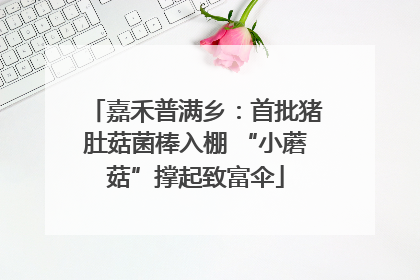 嘉禾普满乡：首批猪肚菇菌棒入棚 “小蘑菇”撑起致富伞