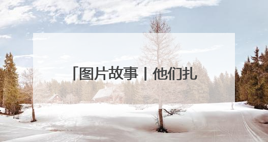 图片故事丨他们扎根深山 只为守护川金丝猴的家园