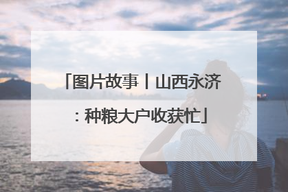 图片故事丨山西永济：种粮大户收获忙
