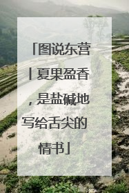 图说东营丨夏果盈香，是盐碱地写给舌尖的情书