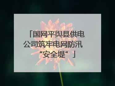 国网平舆县供电公司筑牢电网防汛“安全堤”