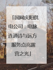 国网庆阳供电公司：电脉连通诗与远方 服务点亮露营之光