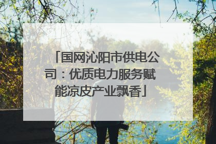 国网沁阳市供电公司：优质电力服务赋能凉皮产业飘香