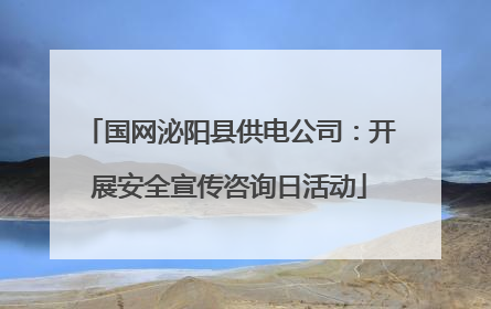 国网泌阳县供电公司：开展安全宣传咨询日活动