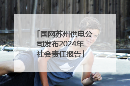 国网苏州供电公司发布2024年社会责任报告
