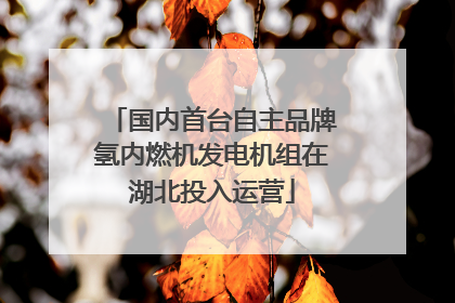 国内首台自主品牌氢内燃机发电机组在湖北投入运营