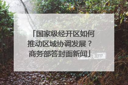 国家级经开区如何推动区域协调发展？商务部答封面新闻