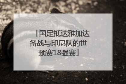 国足抵达雅加达备战与印尼队的世预赛18强赛
