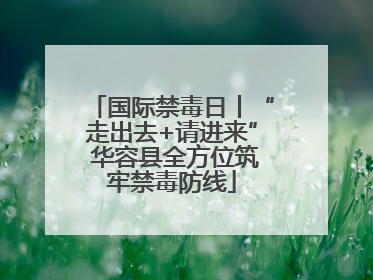国际禁毒日丨“走出去+请进来” 华容县全方位筑牢禁毒防线