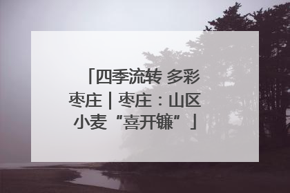 四季流转 多彩枣庄｜枣庄：山区小麦“喜开镰”