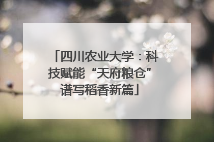 四川农业大学：科技赋能“天府粮仓”谱写稻香新篇